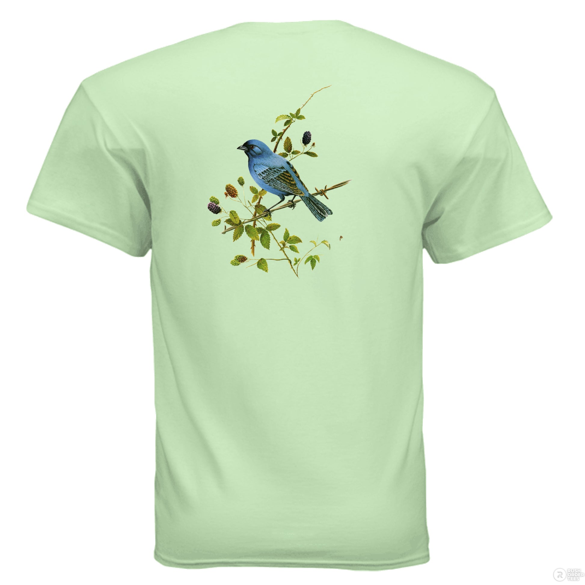 MINT GREEN - BACK