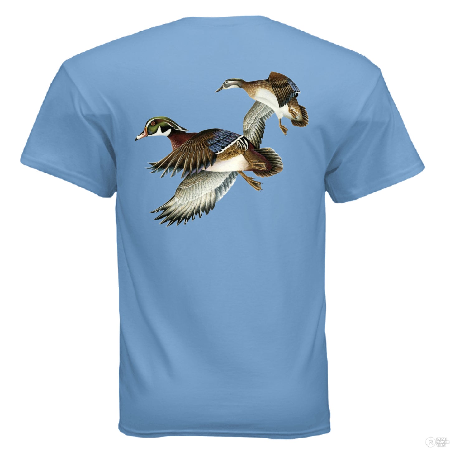 CAROLINA BLUE - BACK