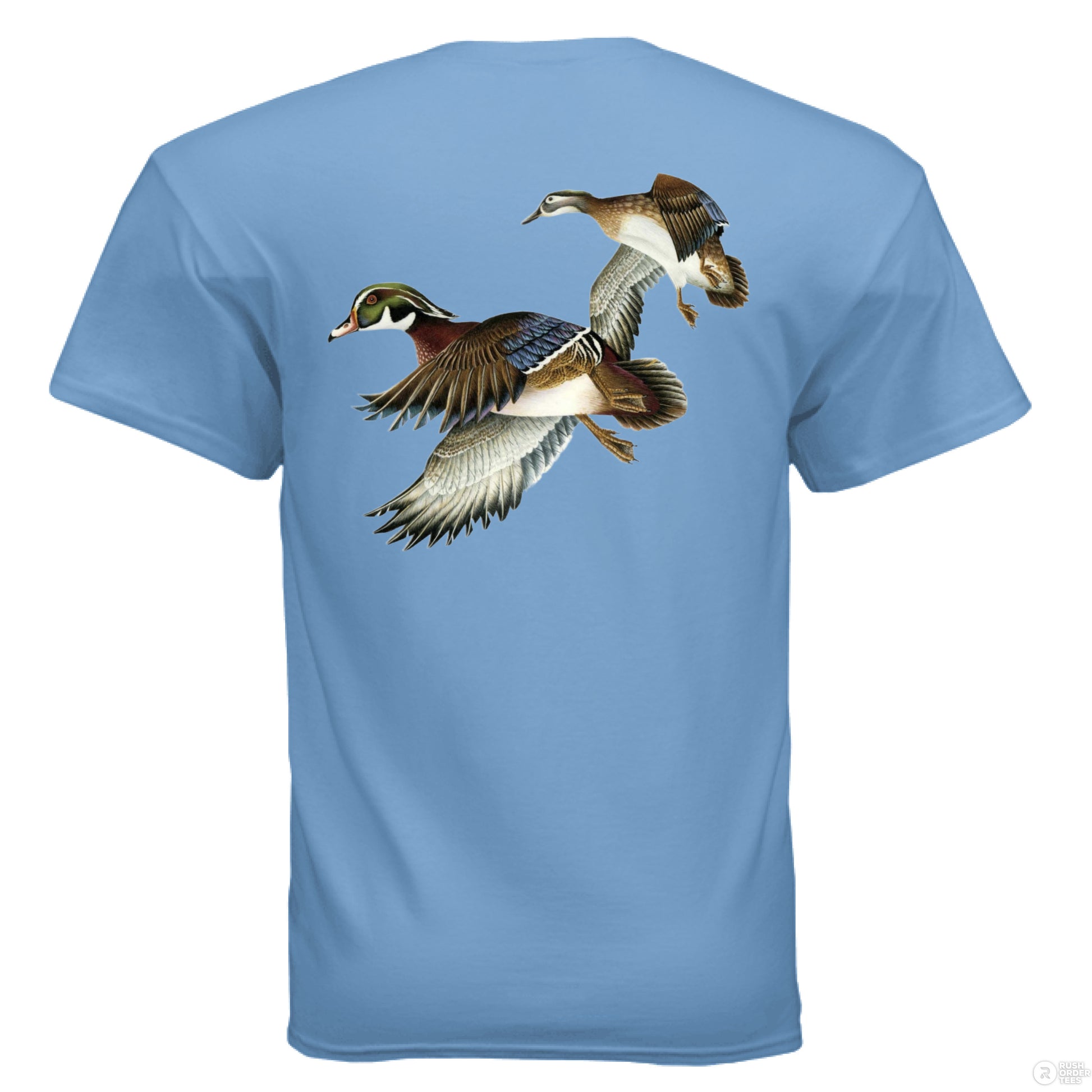 CAROLINA BLUE - BACK