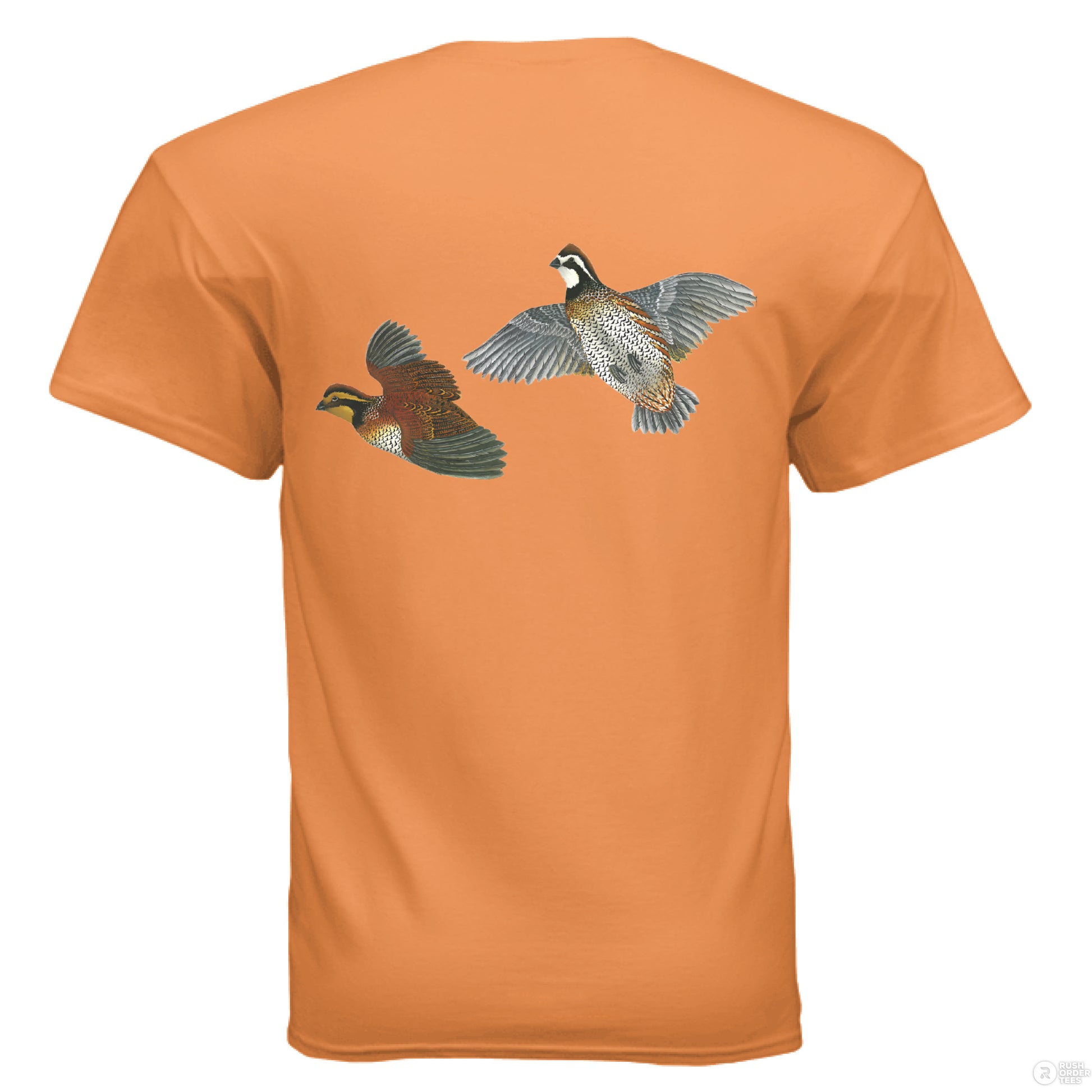 TANGERINE - BACK
