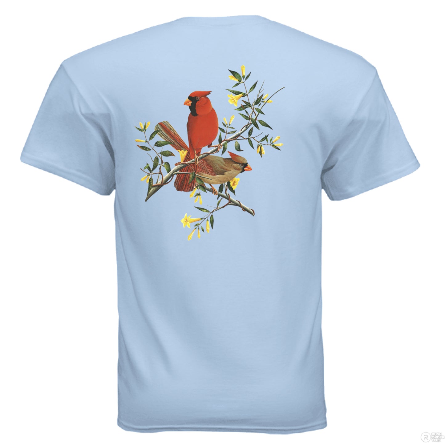 LIGHT BLUE - BACK